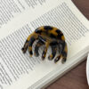 Octopus Hair Claw